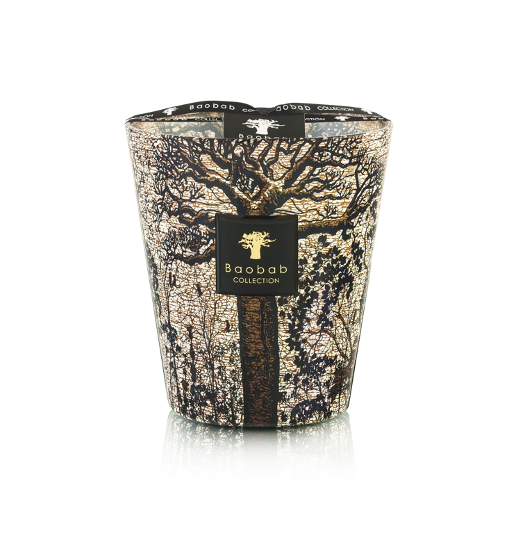 Image of Candle Trees Morondo